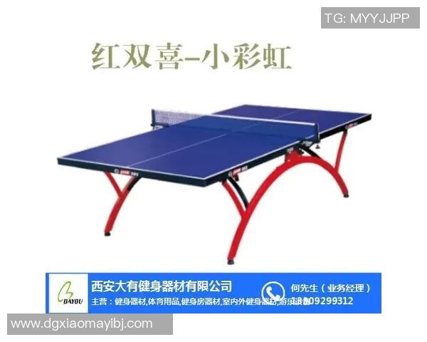 乒乓球装备选购指南：必备训练器材推荐与使用技巧分享