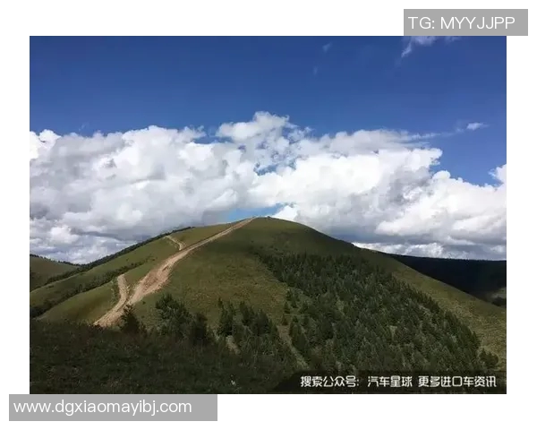 杨娜独家分享攀岩技巧与心得体会助你轻松征服高峰