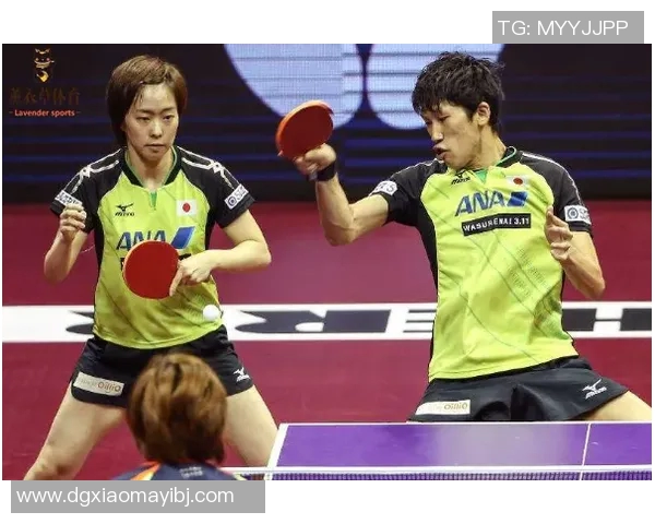 上海乒乓球队反击战术解析与实战应用探讨