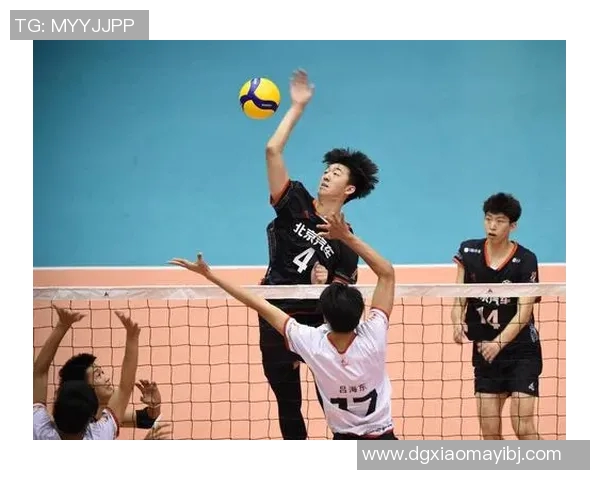北京排球队实力解析：从技术到团队协作的全面剖析与展望
