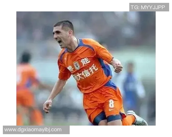 杭州乒乓球队的奋斗与荣耀：从默默无闻到联赛巅峰的传奇之路