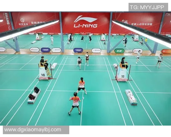 成都羽毛球队技术实力强劲荣登全国羽毛球技术排行榜第六名