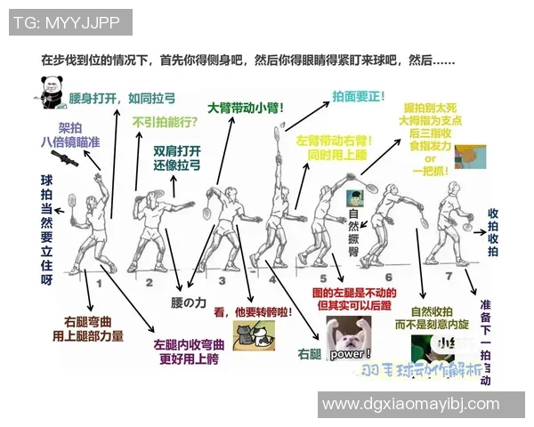 南京羽毛球队整体压制打法深度分析与战术解读