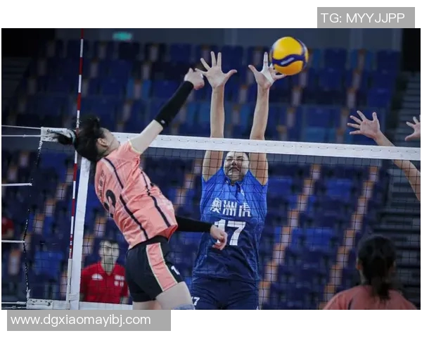 深圳排球队的精神探秘与排球文化的深度融合之旅