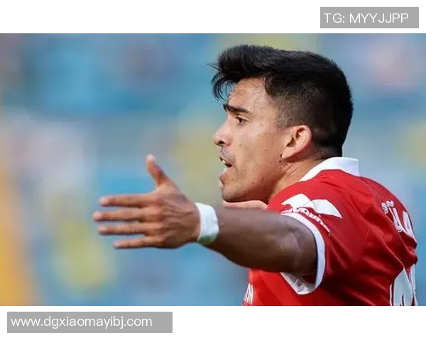 西班牙足球传奇比利亚的辉煌历程与对足球的热爱