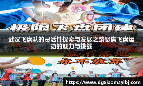 武汉飞盘队的灵活性探索与发展之路聚焦飞盘运动的魅力与挑战